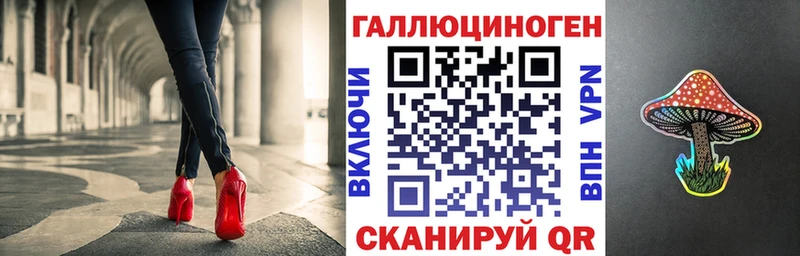 Купить где  Новопавловск  Псилоцибиновые грибы мицелий 